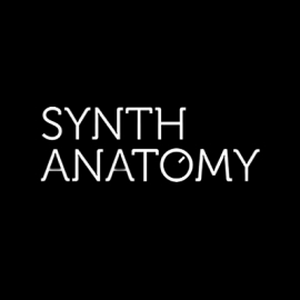 Synth Anatomy